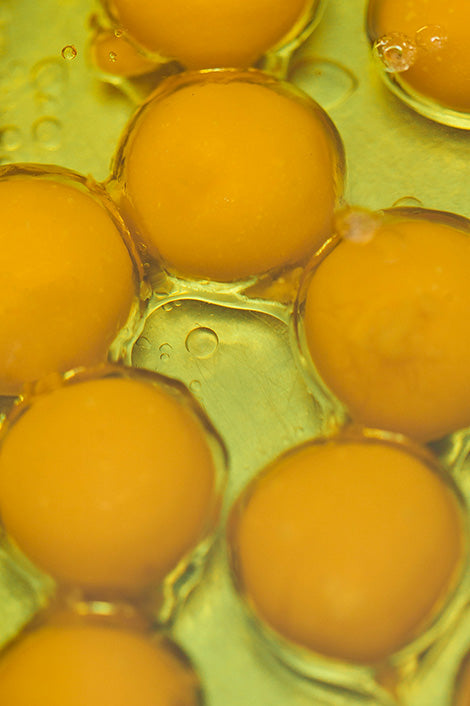 Suplementos con Biotina