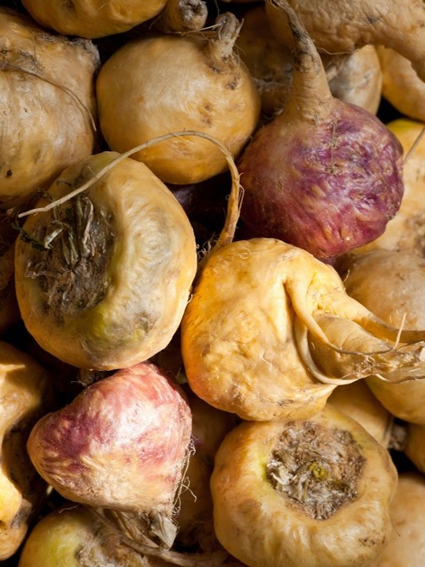 Suplementos con Maca Macafull®
