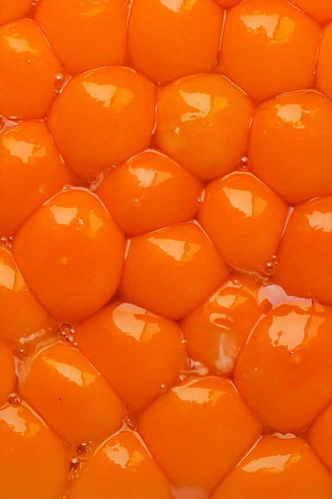 Suplementos con Bitartrato de colina