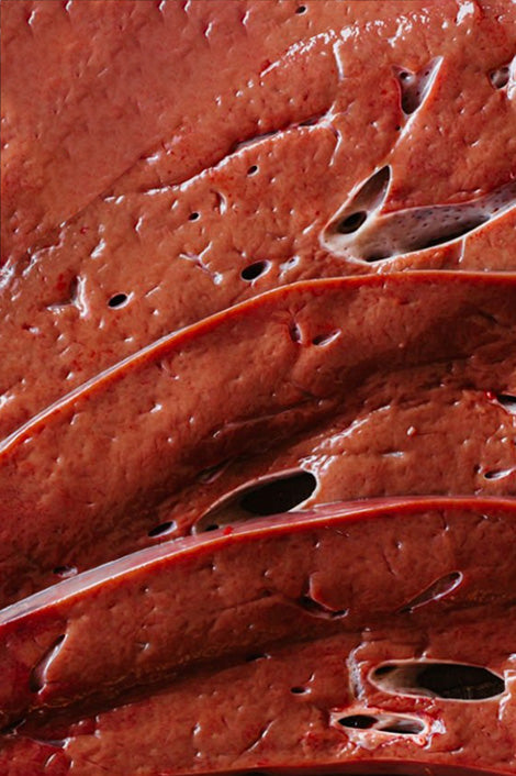 Suplementos con Vitamina B12 (Cobalamina)