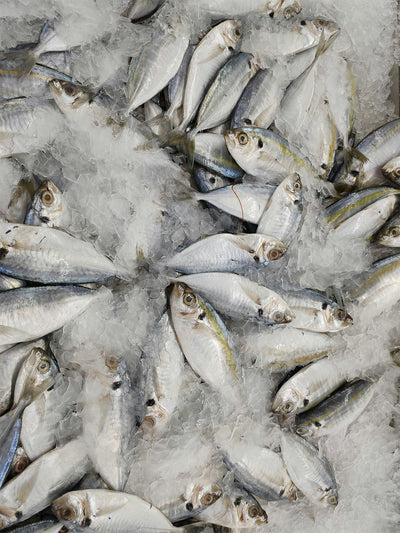 Aceite de pescado