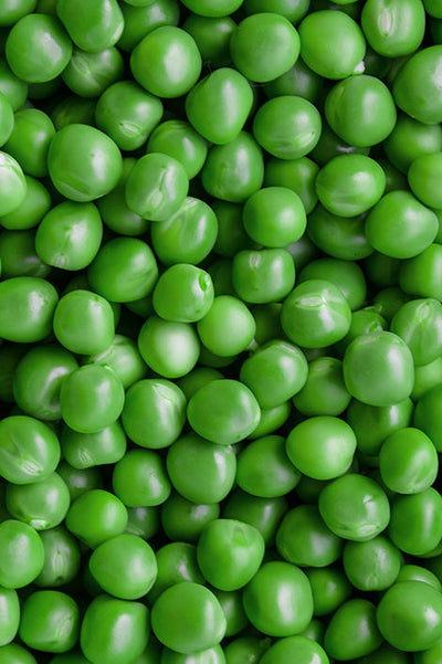 Aislado de proteína de guisante